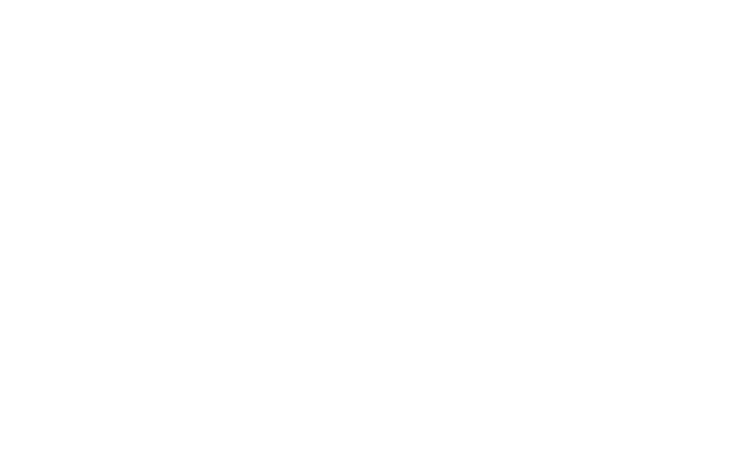 100 year banner